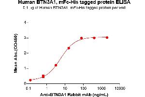 Butyrophilin, Subfamily 3, Member A1 (BTN3A1) (AA 30-254) protein (mFc-His Tag)