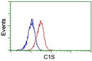 Image no. 2 for anti-Complement Component 1, S Subcomponent (C1S) antibody (ABIN1497568) (C1S 抗体)