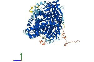AlphaFold protein structure predicition of Human Recombinant GNPAT Protein, UniprotID O15228