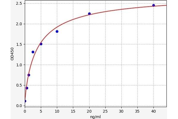 EGFR2 ELISA 试剂盒