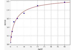 Typical standard curve (EGFR2 ELISA 试剂盒)