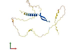 Protein Structure (PS) image for B-Cell CLL/lymphoma 7B (BCL7B) (AA 1-202) protein (His tag) (ABIN7552635)