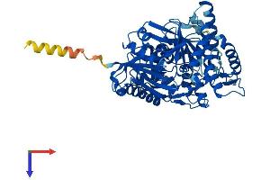 GK5 Protein (AA 1-534) (His tag)