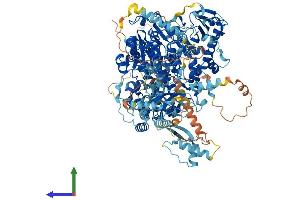 Protein Structure (PS) image for Polymerase (DNA Directed), gamma (POLG) (AA 1-1218) protein (His tag) (ABIN7563443)