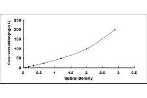 Typical standard curve (Proteoglycan 4 ELISA 试剂盒)