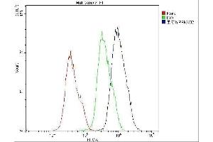 Flow Cytometry analysis of PC-3 cells using anti-AMPK beta 2 antibody (ABIN5693058).