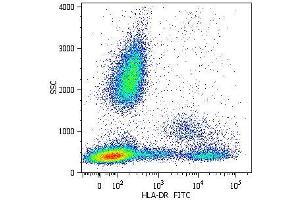 Surface staining of human peripheral blood cells with anti-human HLA-DR (MEM-12) FITC. (HLA-DR 抗体  (PE))