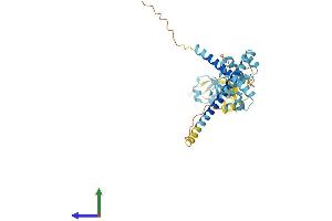 AlphaFold protein structure predicition of Mouse Recombinant Dffa Protein, UniprotID O54786