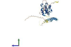 Protein Structure (PS) image for Microtubule-Associated Protein, RP/EB Family, Member 2 (MAPRE2) (AA 1-326) protein (His tag) (ABIN7559609)