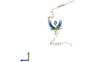 AlphaFold protein structure predicition of Mouse Recombinant Ms4a10 Protein, UniprotID Q99N03