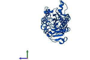 Protein Structure (PS) image for Glyoxylate Reductase/hydroxypyruvate Reductase (GRHPR) (AA 1-328) protein (His tag) (ABIN7560130)