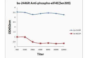 Antigen 0. (EIF4E 抗体  (pSer209))