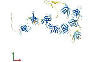 AlphaFold protein structure predicition of Mouse Recombinant Csde1 Protein, UniprotID Q91W50