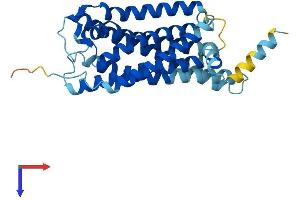 GPR171 Protein (AA 1-319) (His tag)