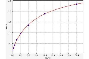 Typical standard curve (BTN2A1 ELISA 试剂盒)