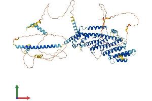 Protein Structure (PS) image for PAX3 and PAX7 Binding Protein 1 (PAXBP1) (AA 1-917) protein (His tag) (ABIN7554913)
