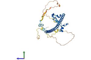 Protein Structure (PS) image for Hepatic Leukemia Factor (HLF) (AA 1-295) protein (His tag) (ABIN7558951)