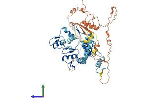 Protein Structure (PS) image for Zinc Finger Protein 177 (ZNF177) (AA 1-481) protein (His tag) (ABIN7545786)