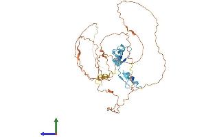Protein Structure (PS) image for Kruppel-Like Factor 12 (KLF12) (AA 1-402) protein (His tag) (ABIN7548861)