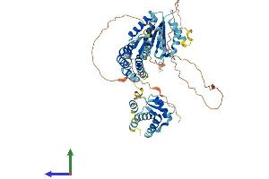 Protein Structure (PS) image for Cell Division Cycle 6 Homolog (S. Cerevisiae) (CDC6) (AA 1-562) protein (His tag) (ABIN7562706)
