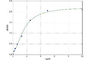 A typical standard curve (C-JUN ELISA 试剂盒)