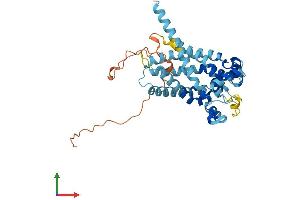 Protein Structure (PS) image for Solute Carrier Family 25, Member 28 (SLC25A28) (AA 1-364) protein (His tag) (ABIN7549352)