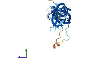 Protein Structure (PS) image for Polymerase (RNA) III (DNA Directed) Polypeptide H (22.9kD) (POLR3H) (AA 1-204) protein (His tag) (ABIN7560907)