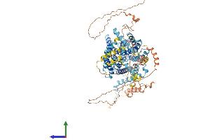 Protein Structure (PS) image for Solute Carrier Family 9 (Sodium/hydrogen Exchanger), Member 3 (SLC9A3) (AA 1-829) protein (His tag) (ABIN7562154)