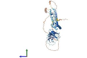 Protein Structure (PS) image for Tripartite Motif Containing 41 (TRIM41) (AA 1-630) protein (His tag) (ABIN7557479)