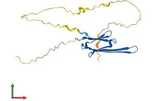 Protein Structure (PS) image for Heat Shock 22kDa Protein 8 (HSPB8) (AA 1-196) protein (His tag) (ABIN7561625)