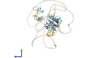 Protein Structure (PS) image for Zinc Finger Protein 280C (ZNF280C) (AA 1-737) protein (His tag) (ABIN7545277)