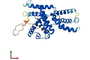 AlphaFold protein structure predicition of Human Recombinant CCNH Protein, UniprotID P51946