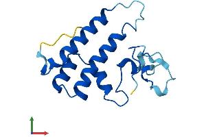 Protein Structure (PS) image for BUD31 Homolog (BUD31) (AA 1-144) protein (His tag) (ABIN7552712)