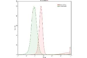 Detection of CD42d in Raji human Burkitt's lymphoma cell line using Anti-Cluster of Differentiation 42d (CD42d) Polyclonal Antibody (GP5 抗体  (AA 17-242))