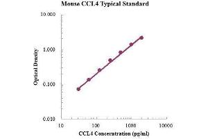 ELISA image for Chemokine (C-C Motif) Ligand 4 (CCL4) ELISA Kit (ABIN3198411)