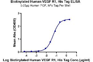 Immobilized Human PGF, hFc Tag at 0. (FLT1 Protein (His-Avi Tag,Biotin))