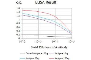 Black line: Control Antigen (100 ng),Purple line: Antigen (10 ng), Blue line: Antigen (50 ng), Red line:Antigen (100 ng) (CHRNE 抗体  (AA 21-239))