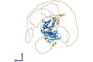 Protein Structure (PS) image for SHC (Src Homology 2 Domain Containing) Transforming Protein 3 (SHC3) (AA 1-594) protein (His tag) (ABIN7546169)