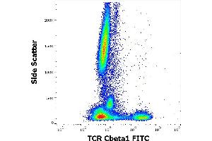 Flow cytometry surface staining pattern of human peripheral whole blood stained using anti-human TCR Cbeta1 (JOVI. (TCR, Cbeta1 抗体 (FITC))