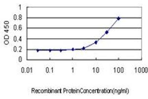 Detection limit for recombinant GST tagged ATF3 is approximately 1ng/ml as a capture antibody. (ATF3 抗体  (AA 1-181))