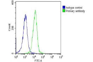 Overlay histogram showing Hela cells stained with Antibody (green line). (PFN1 抗体  (AA 108-140))