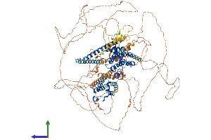 Protein Structure (PS) image for Bromodomain Containing 8 (BRD8) (AA 1-1235) protein (His tag) (ABIN7552844)