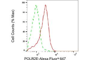 Flow cytometric analysis of POLR2E expression in HAP-1 cells using POLR2E antibody (ABIN7799879), 1:2,000). (POLR2E 抗体)