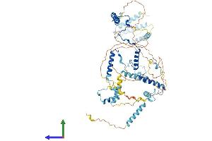 AlphaFold protein structure predicition of Mouse Recombinant Mphosph10 Protein, UniprotID Q810V0