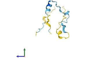 Protein Structure (PS) image for Calcium/calmodulin-Dependent Protein Kinase II Inhibitor 2 (CAMK2N2) (AA 1-79) protein (Fc Tag) (ABIN7558180)