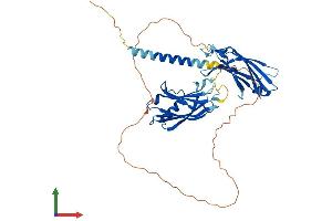 Protein Structure (PS) image for Synaptotagmin XI (SYT11) (AA 1-431) protein (His tag) (ABIN7544092)