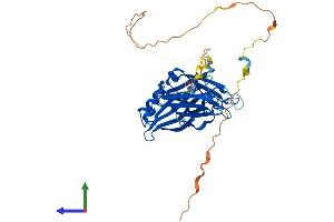 AlphaFold protein structure predicition of Human Recombinant DOC2B Protein, UniprotID Q14184