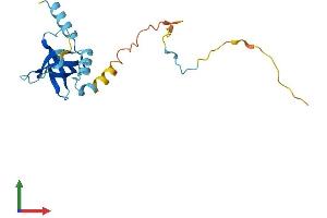 Protein Structure (PS) image for Eukaryotic Translation Initiation Factor 1A Domain Containing (EIF1AD) (AA 1-170) protein (His tag) (ABIN7557061)