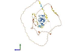 Protein Structure (PS) image for Ring Finger Protein 44 (RNF44) (AA 1-407) protein (His tag) (ABIN7557197)