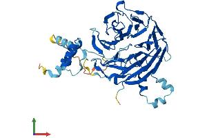 Protein Structure (PS) image for Cleavage Stimulation Factor, 3' Pre-RNA, Subunit 1, 50kDa (CSTF1) (AA 1-431) protein (His tag) (ABIN7560358)